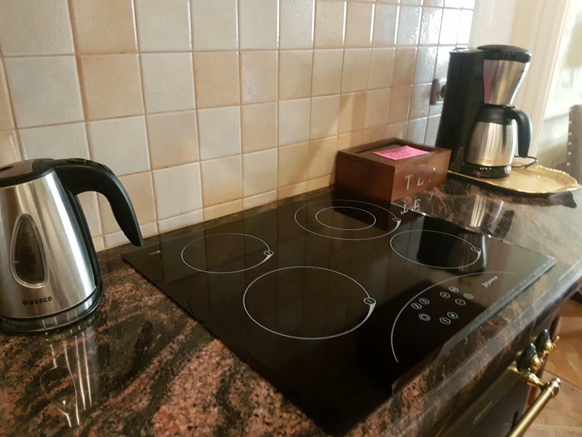 Goldstar Luxury Old Town Krakow Apartment エクステリア 写真